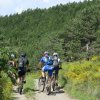 9 juin 2018 : les passerelles du Monteynard