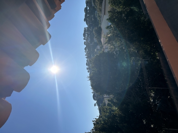 IMG_6598.jpeg IMG_6598.jpeg