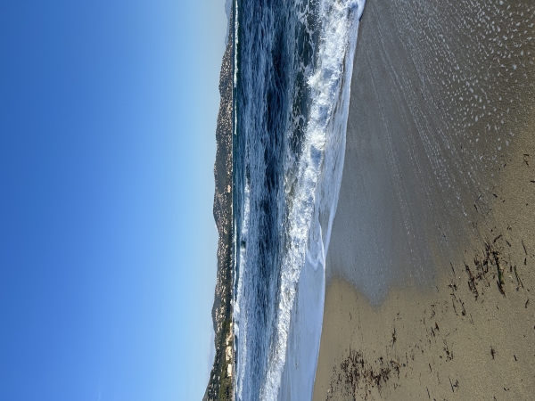 IMG_6606.jpeg IMG_6606.jpeg